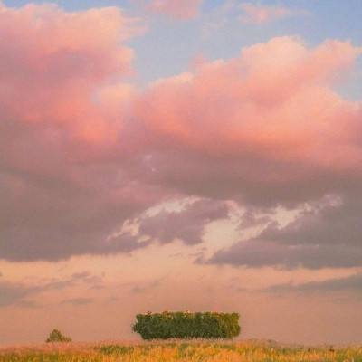 博鱼·综合体育APP下载安装